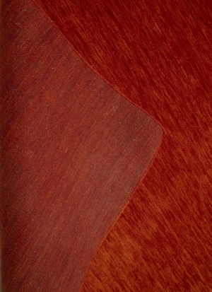 Orange Red Modern Solid 8X10 Gabbeh Oriental Rug
