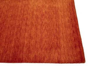 Orange Red Modern Solid 8X10 Gabbeh Oriental Rug