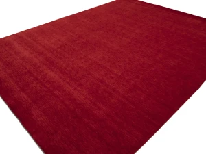 Red Modern Solid 9X12 Gabbeh Oriental Rug