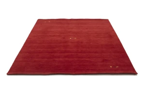 Red Tribal 6X9 Gabbeh Modern Rug