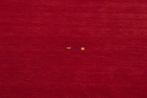 Red Tribal 6X9 Gabbeh Modern Rug