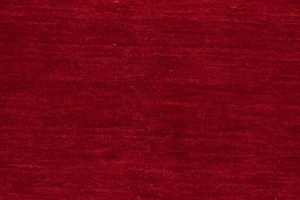Red Tribal 6X9 Gabbeh Modern Rug