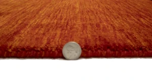 Orange-red Tribal 3X5 Gabbeh Modern Rug