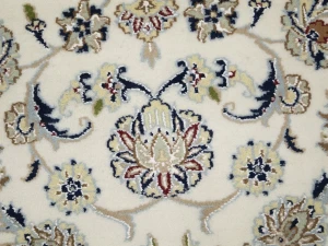 Cream Floral 7X10 Indo-Nain Oriental Rug