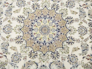 Cream Floral 7X10 Indo-Nain Oriental Rug