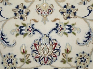 Cream Floral 8X10 Indo-Nain Oriental Rug