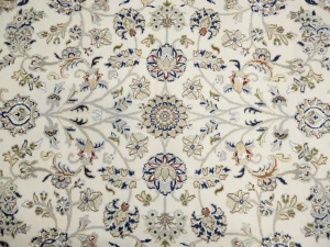 Cream Floral 8X10 Indo-Nain Oriental Rug