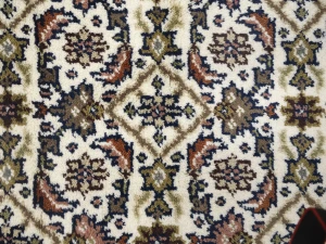 Cream Floral Tribal 3X5 Indo-Bidjar Oriental Rug